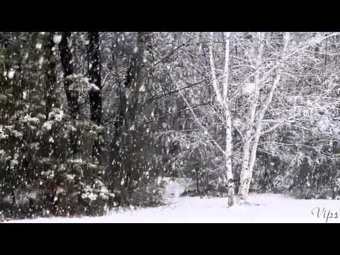 Rey Salinero High Definition Of Heart