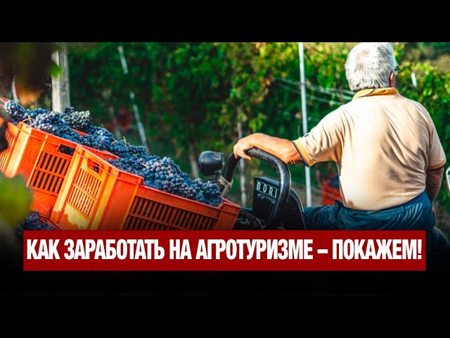 Популярность набирает новый вид отдыха – агротуризм