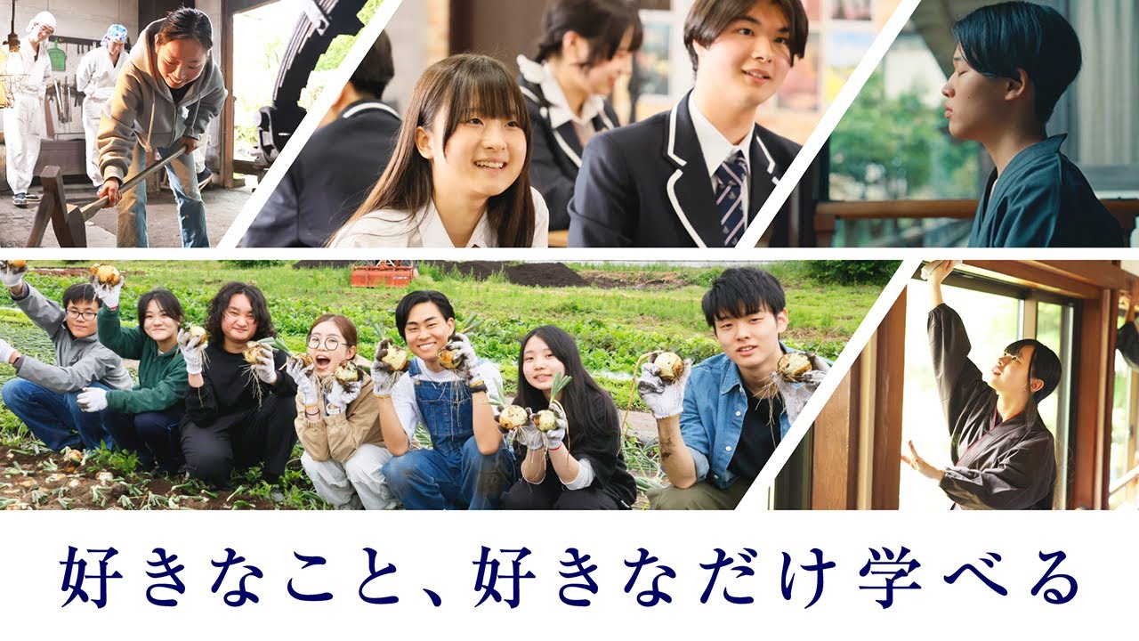 N高等学校TVCM「課外活動から広がる多彩な学び ３０秒篇」
