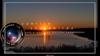 Sunrise over the Malibu Lagoon with a vintage Chinon lens for video, and my Canon R3 for Plovers!