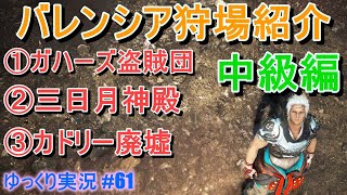 【ゆっくり実況】PC版黒い砂漠で放浪 #61 ガハーズ盗賊団、三日月神殿、カドリー廃墟　狩場レポート