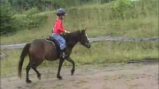 preview picture of video 'Hannah rides Bonnie, Newfoundland pony in Nova Scotia'