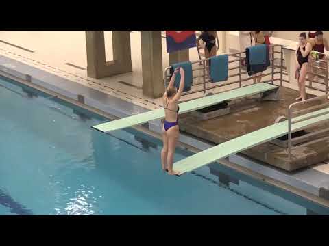 PL Championship | [Women 1m Springboard] | Diver [2019]