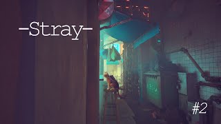 【Stray】後半のにゃんにゃんにゃん😺😸😽【個人Vtuber】
