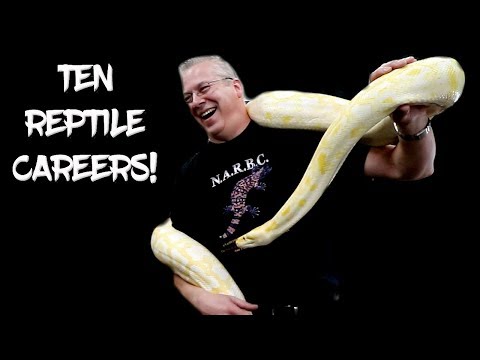 How to make a career with reptiles