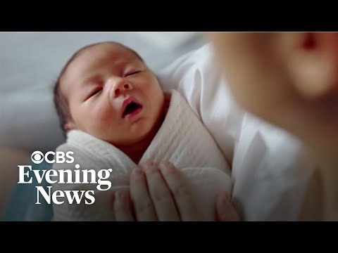 A closer look at the sharp decline in U.S. birth rate