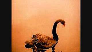 Crooked Fingers - Man Who Died Of Nothing At All