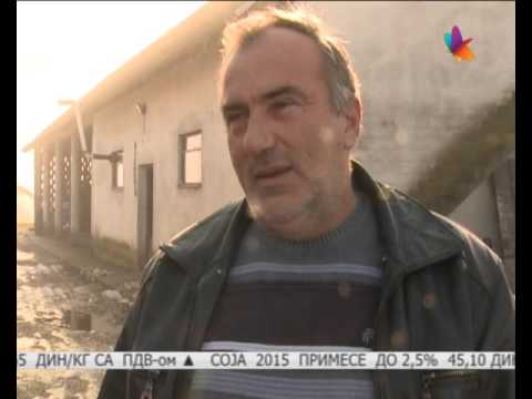 Krompirov moljac | Agrodnevnik | 13.01.2016.