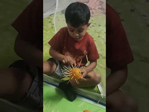 "Watch Nilaash being mischievous as he inserts a toothpick into an orange fruit.