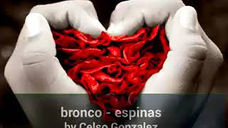 Espinas. BRONCO