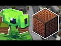 Choose Your Seeds Plants Vs Zombies OST Minecraft Note Block Cover