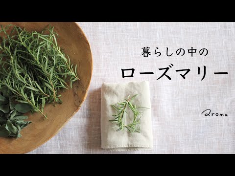 ローズヒップを使った装飾のアイデア ライフスタイル