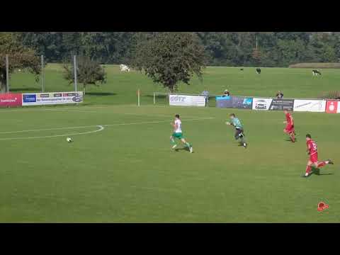 TSV Berg - TSV Heimerdingen 3:3 (1:2)
