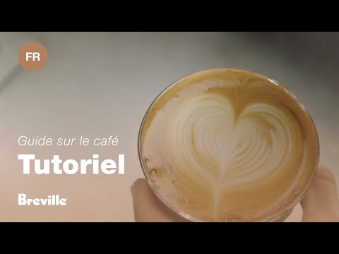 miniature vidéo