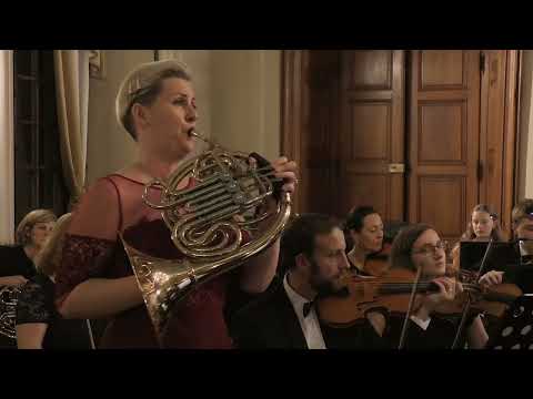 Adéla Turek &  Příbramská filharmonie - Horn Concerto no.7 (Giovanni Punto)