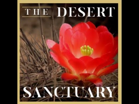The Desert Sanctuary - Why I Deconstructed and Evolved