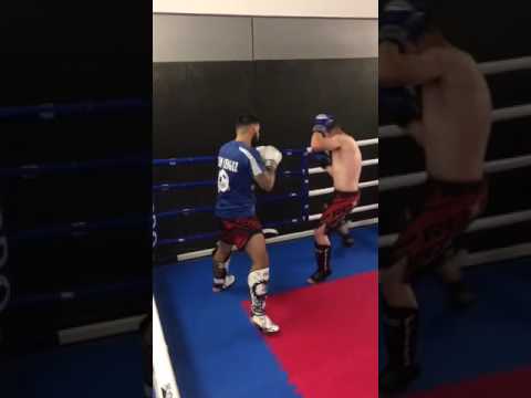 Sparring down the gym