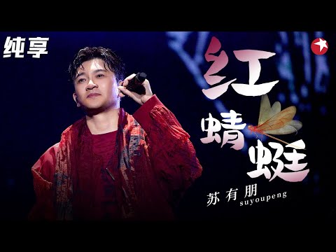 满满回忆杀！苏有朋再唱小虎队金曲《红蜻蜓》引爆全场！#跨年经典 clip