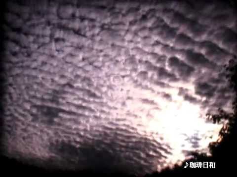 kohibiyori / Quinka,with a Yawn