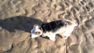 preview picture of video 'Lucky on Mablethorpe beach'
