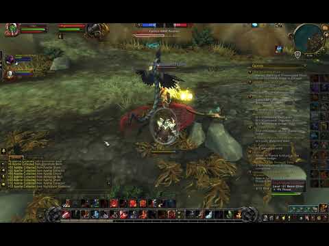 Havens wood Island expedition