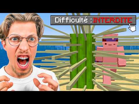 J’ai Tenté de Finir la Version INTERDITE de Minecraft…