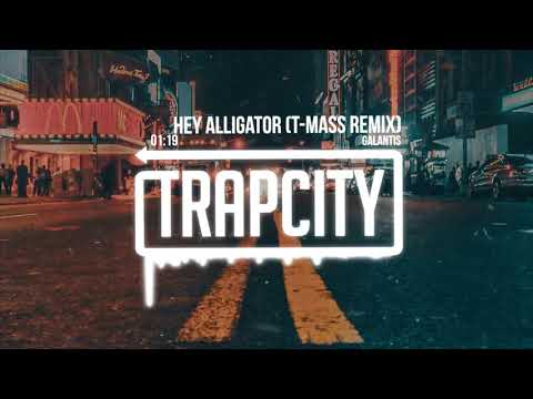 Galantis - Hey Alligator (T-Mass Remix)