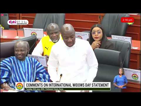 Parliament Explodes Over Widows Day Comments – Acheampong, Afenyo-Markin, Ayariga Speak