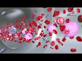 Magnetic Blood Filtration technology explained.