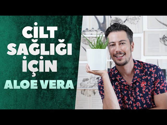 Aloe Vera Jeli Faydalar, Nasl Yaplr, Saklanr? - Nefis Yemek Tarifleri