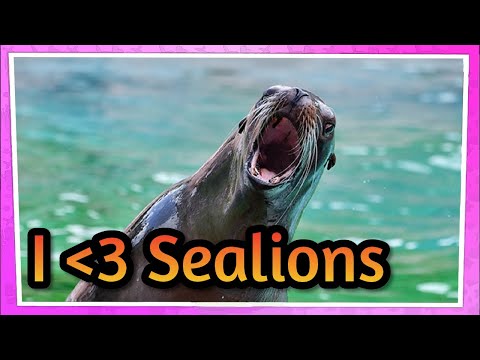 Sealioning is a dumb concept.