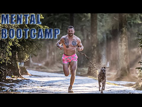 Der Gamechanger für deine Gesundheit: der Biophilia Effekt