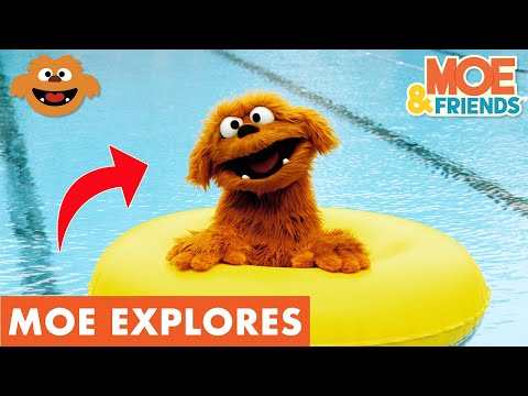 Moe Explores Swimming | Kids Learn Water Confidence & Safety | #MoeExplores