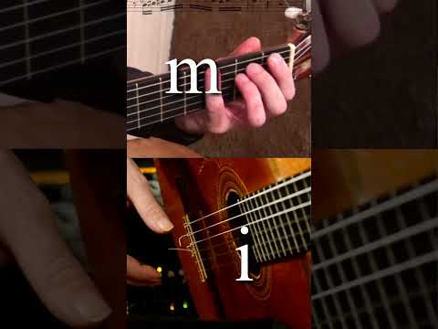 Picado Flamenco The Best Advice (1 of 3)