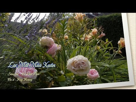 Lạc mất mùa xuân - Huy Hoàng