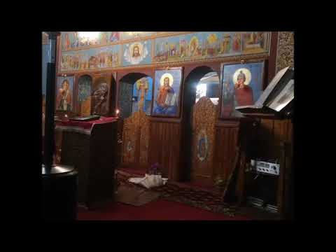 20220422 FLORIN DARIUS MATEI – SFANTA SI MAREA VINERI – DENIA PROHODULUI DOMNULUI