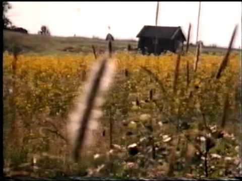 Landet längesen fimbulvinter 3