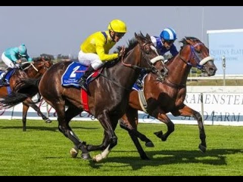 THE 2020 L'ORMARINS QUEENS PLATE FESTIVAL