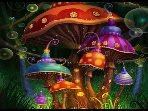 Leśne internety ( Grzybowa kołysanka )