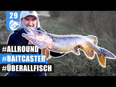 BAITCASTER 1X1: M-Klasse ist WELTKLASSE!
