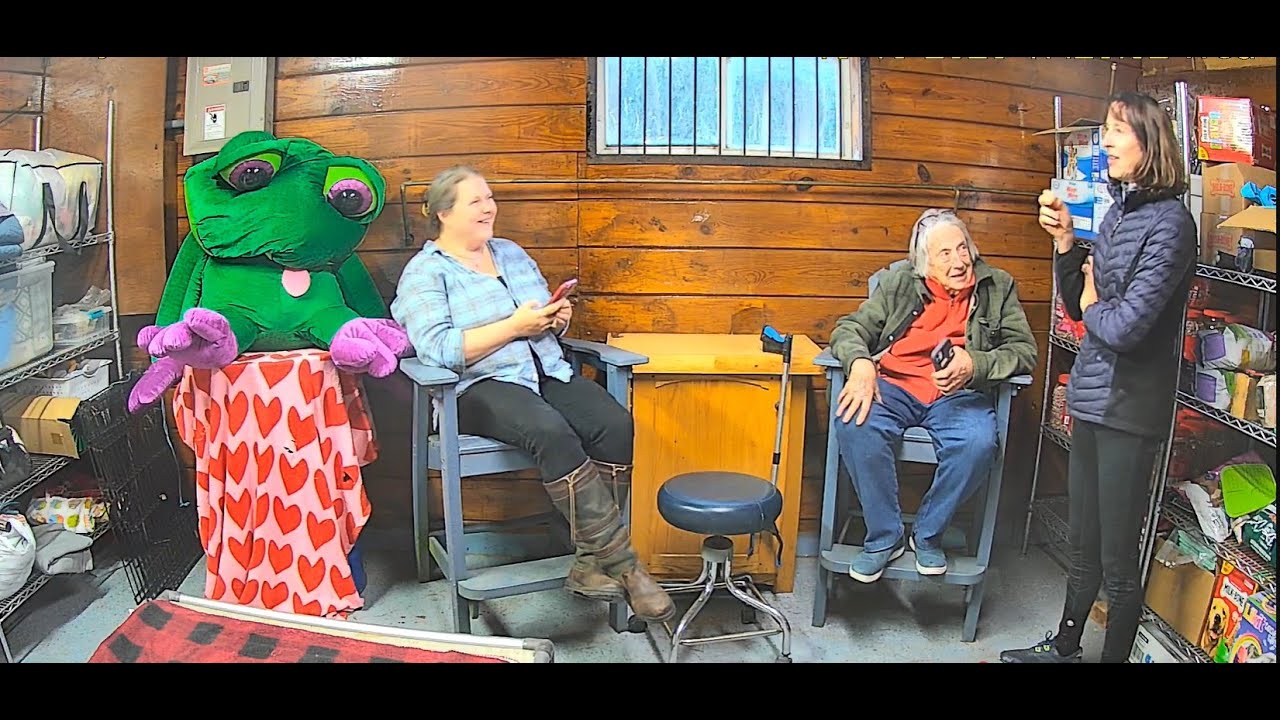 Live webcam view of Goldy's Farm Mascot Studio Cam