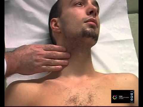 Cardiologie - Auscultation et Pouls Carotidien