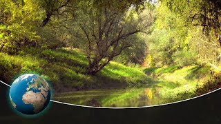 Paradise bay рыбацкий остров где это
