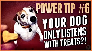 How to get rid of lures, even if your dog only listens with treats!