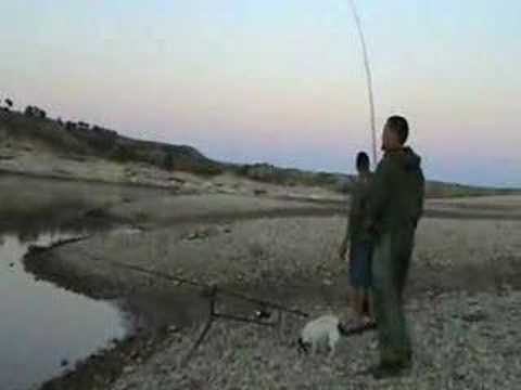 164lb catfish fishing on river ebro spain