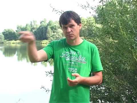 Zlatko Nedeljko Pepsi - Križ