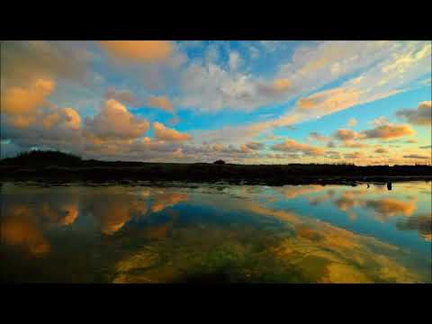 Alexandre Guerra - Movimento De Primavera