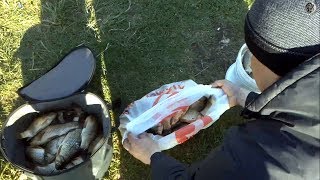 Платная рыбалка на чудском озере чистые пруды