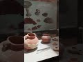 Mount Nebo Museum Madaba Jordan