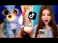 Reacting To EVIL Beanie Boo Tik Toks